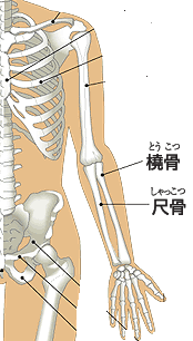 図1